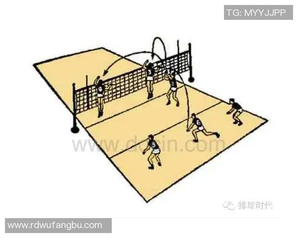 广州排球队节奏对比独家解析与战术分析探讨