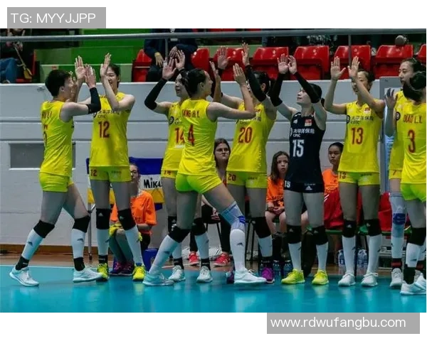 杭州排球队实力强劲荣登全国排球力量排行榜第六名